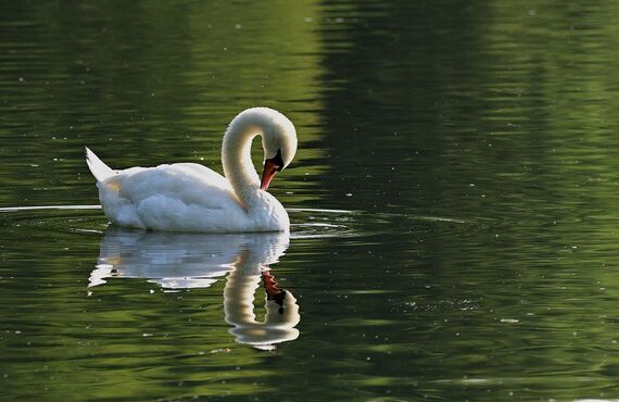 ベストな決断をする方法