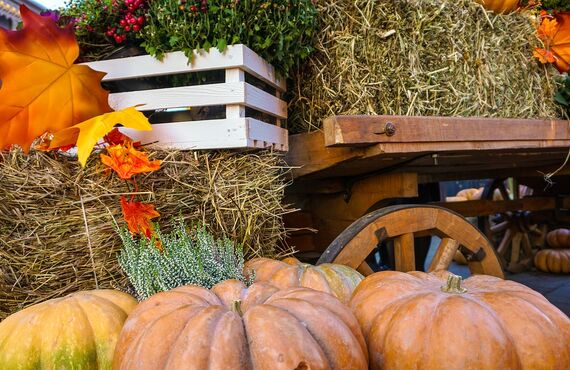 HAPPY  HALLOWEENだっ👻🍭✨